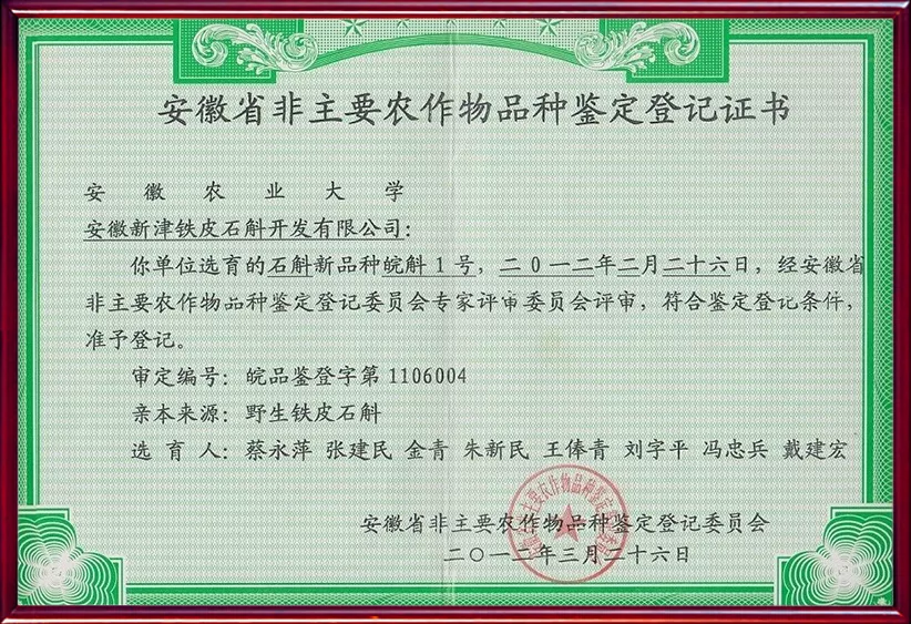 皖斛1号