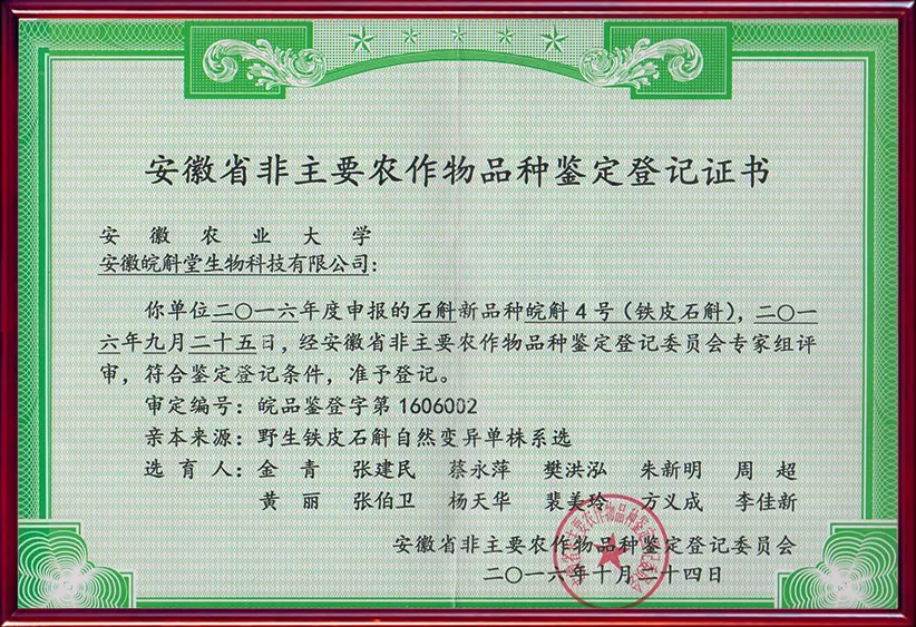 皖斛4号