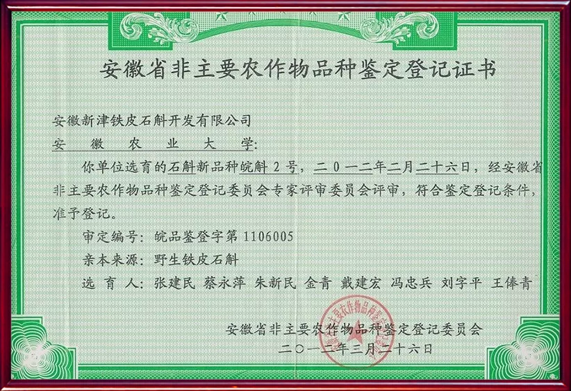 皖斛2号