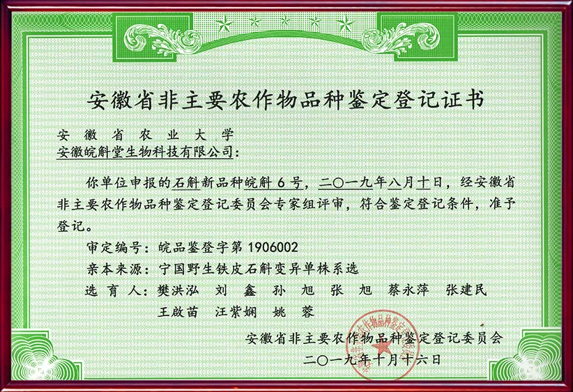皖斛6号