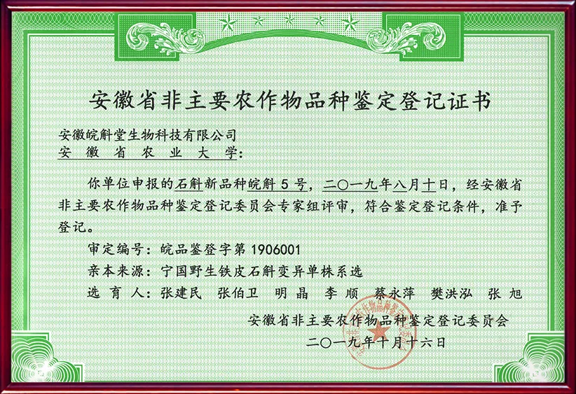 皖斛5号