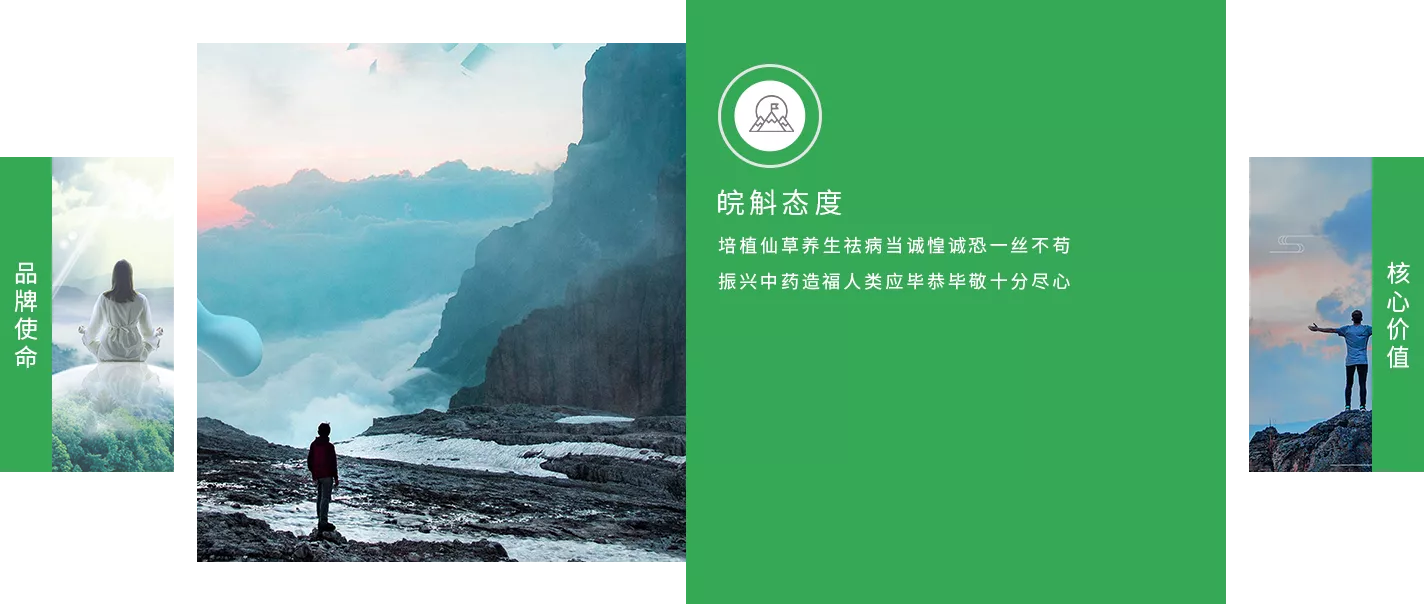 图：皖斛堂态度