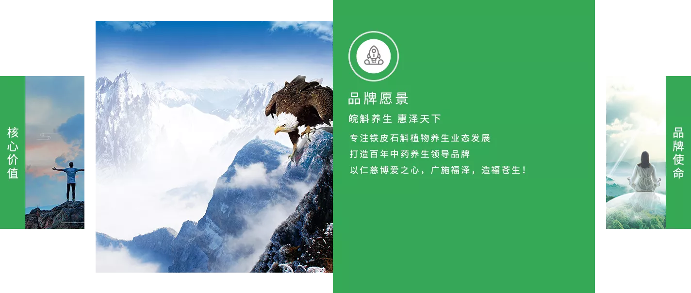 图：皖斛堂品牌愿景
